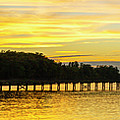 Fishing Pier at Dusk Pano