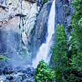 Lower Yosemite